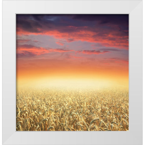 Glowing White Modern Wood Framed Art Print by Heine, Ben