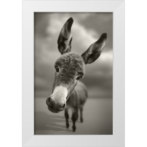 Hey There White Modern Wood Framed Art Print by Heine, Ben