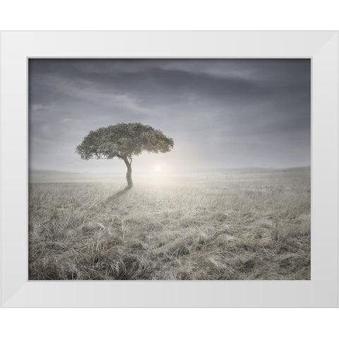 I hear the birds sing White Modern Wood Framed Art Print by Heine, Ben