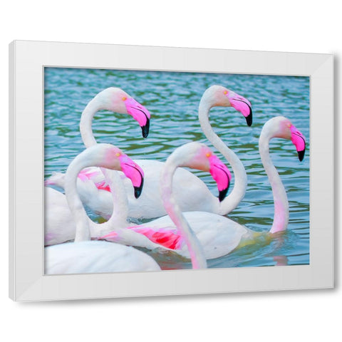 IMG_8905 White Modern Wood Framed Art Print by Heine, Ben