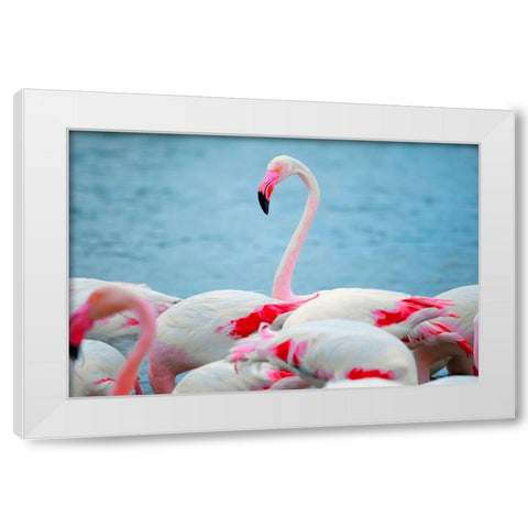 IMG_8978 copy White Modern Wood Framed Art Print by Heine, Ben