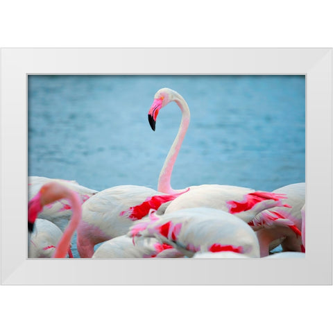 IMG_8978 copy White Modern Wood Framed Art Print by Heine, Ben