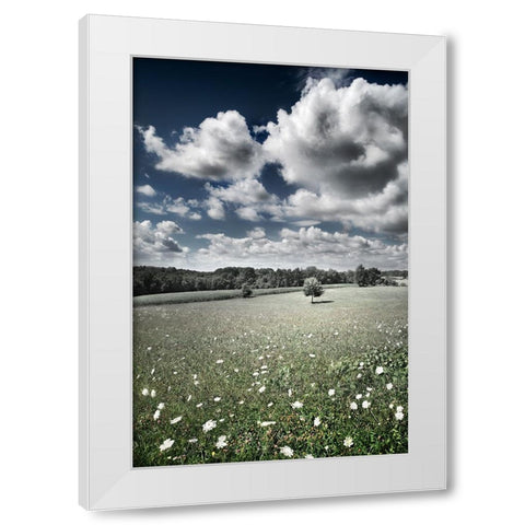 Meadow White Modern Wood Framed Art Print by Heine, Ben