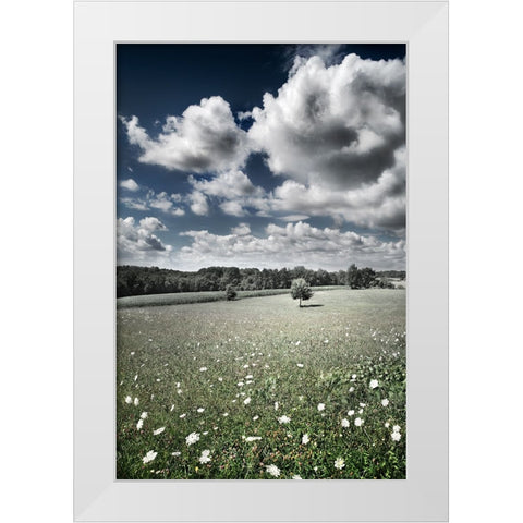 Meadow White Modern Wood Framed Art Print by Heine, Ben