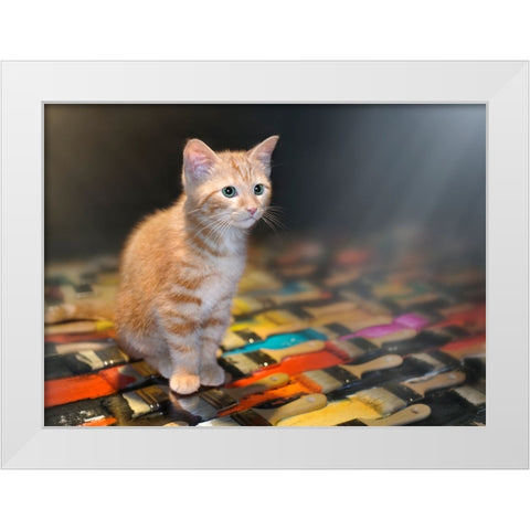 Missing You White Modern Wood Framed Art Print by Heine, Ben