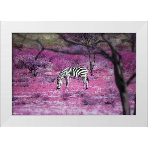 Once Upon a Time in Kenya - 7 White Modern Wood Framed Art Print by Heine, Ben