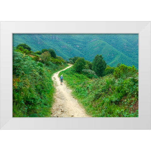 Santiago de Compostela pilgrimage - 242 White Modern Wood Framed Art Print by Heine, Ben