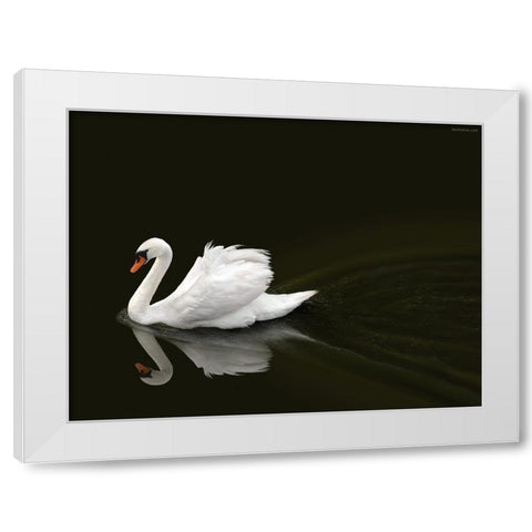 Swan 2 White Modern Wood Framed Art Print by Heine, Ben