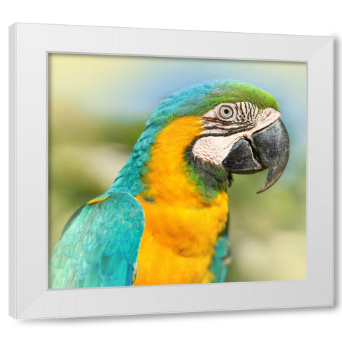 Thailand - 367 White Modern Wood Framed Art Print by Heine, Ben