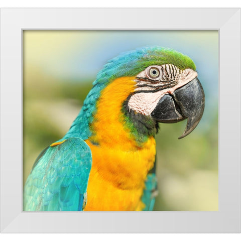 Thailand - 367 White Modern Wood Framed Art Print by Heine, Ben