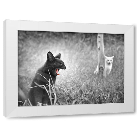 The Beauty and The Beast White Modern Wood Framed Art Print by Heine, Ben