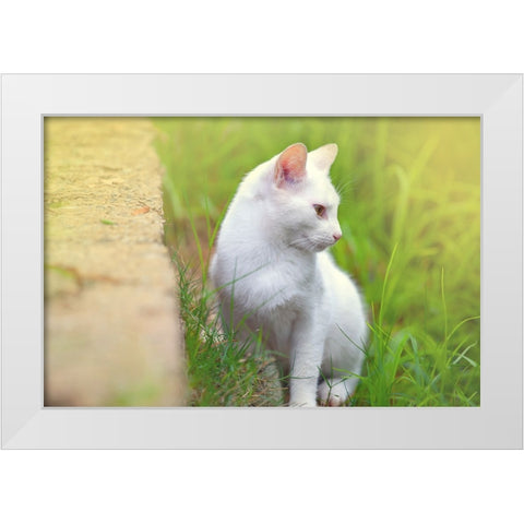 Tunisia 61 White Modern Wood Framed Art Print by Heine, Ben