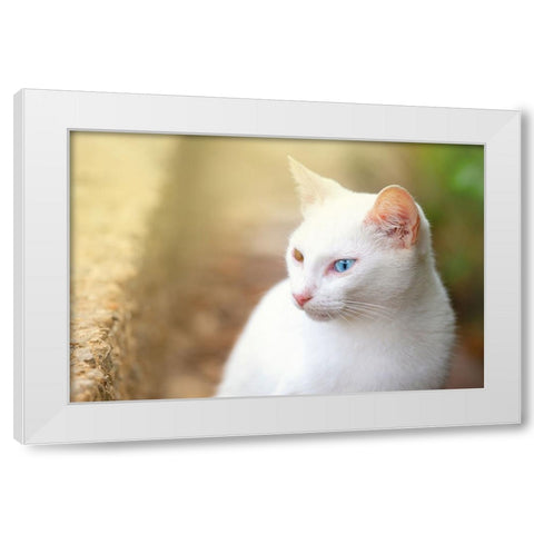 Tunisia 69 White Modern Wood Framed Art Print by Heine, Ben