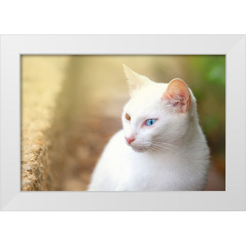 Tunisia 69 White Modern Wood Framed Art Print by Heine, Ben