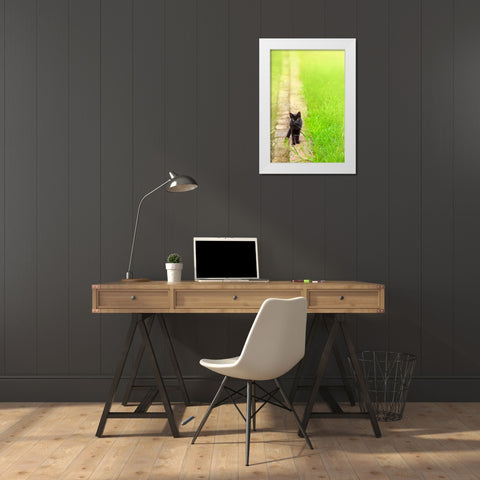 Tunisia 76 White Modern Wood Framed Art Print by Heine, Ben