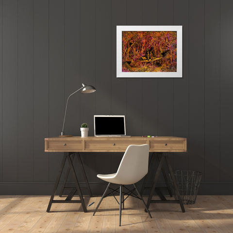 Bear Hunters White Modern Wood Framed Art Print by Bell, Bill