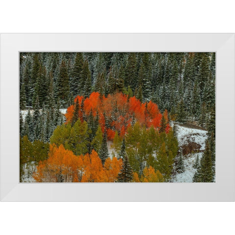 A Circle Of Color White Modern Wood Framed Art Print by Sherrell, Bill