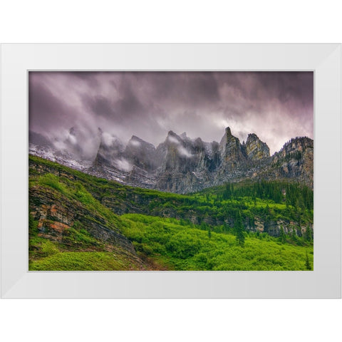 A Majestic Presence White Modern Wood Framed Art Print by Sherrell, Bill