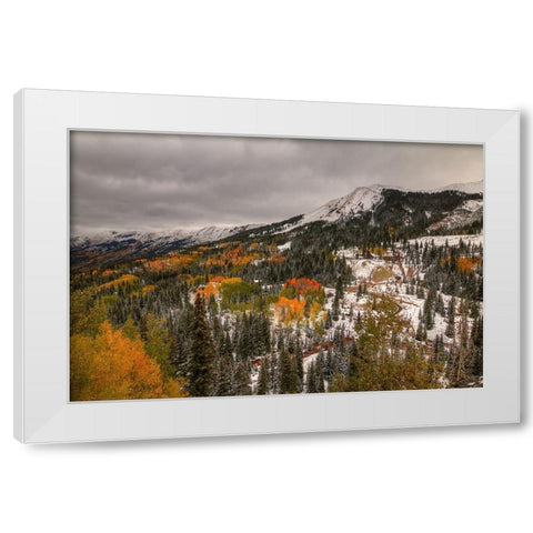 A Splash Of Color White Modern Wood Framed Art Print by Sherrell, Bill