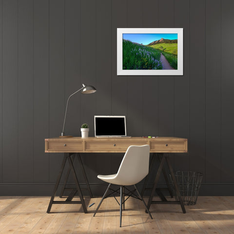 A Walk On The Wild Side White Modern Wood Framed Art Print by Sherrell, Bill