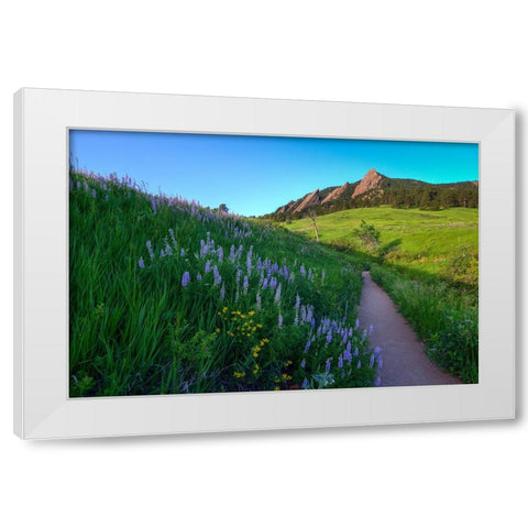 A Walk On The Wild Side White Modern Wood Framed Art Print by Sherrell, Bill