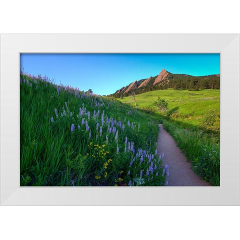 A Walk On The Wild Side White Modern Wood Framed Art Print by Sherrell, Bill
