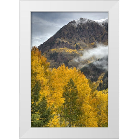 Autumn Moods White Modern Wood Framed Art Print by Sherrell, Bill