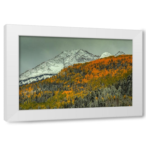 Autumn Mountain White Modern Wood Framed Art Print by Sherrell, Bill