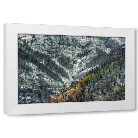Autumn Slice And Majestic Delineation White Modern Wood Framed Art Print by Sherrell, Bill