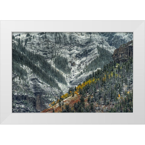 Autumn Slice And Majestic Delineation White Modern Wood Framed Art Print by Sherrell, Bill