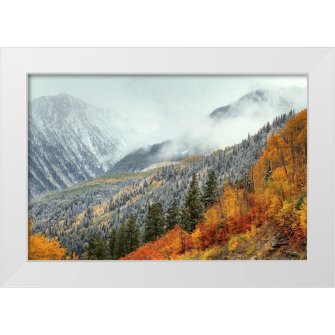 Autumn Storm White Modern Wood Framed Art Print by Sherrell, Bill