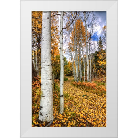 Autumn Stroll White Modern Wood Framed Art Print by Sherrell, Bill