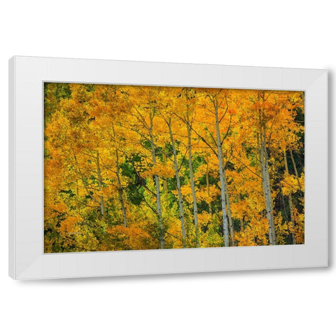 Backlit Embrace White Modern Wood Framed Art Print by Sherrell, Bill