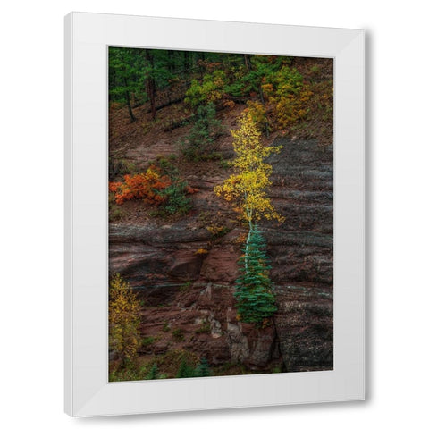 Beautiful Tenacity White Modern Wood Framed Art Print by Sherrell, Bill