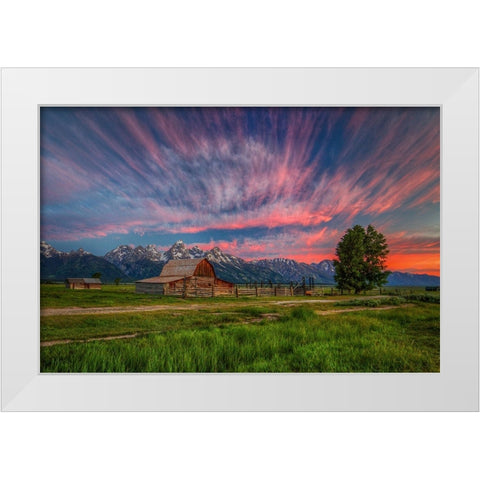 Beneath Teton Glory White Modern Wood Framed Art Print by Sherrell, Bill