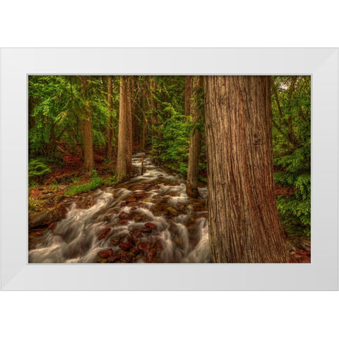 Brook White Modern Wood Framed Art Print by Sherrell, Bill
