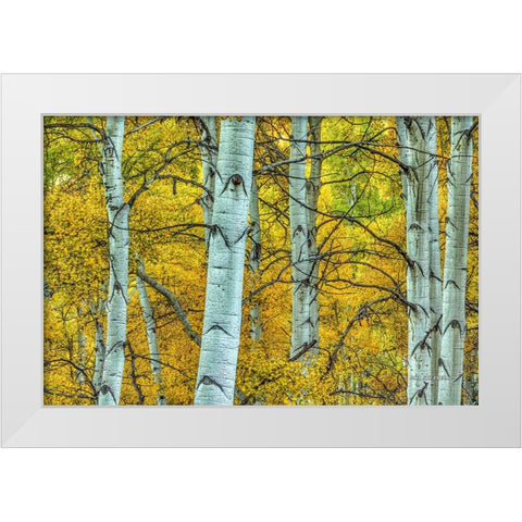 Chaotic Beauty White Modern Wood Framed Art Print by Sherrell, Bill