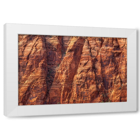 Cliffhanger White Modern Wood Framed Art Print by Sherrell, Bill