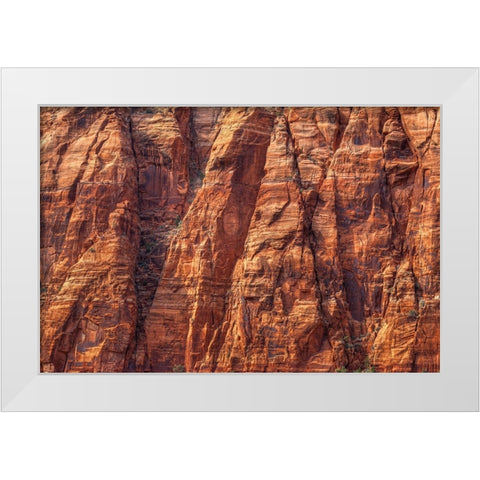 Cliffhanger White Modern Wood Framed Art Print by Sherrell, Bill