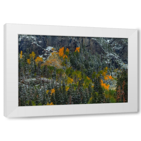 Color Splash White Modern Wood Framed Art Print by Sherrell, Bill