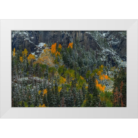 Color Splash White Modern Wood Framed Art Print by Sherrell, Bill