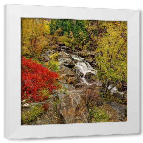 Fall River White Modern Wood Framed Art Print by Sherrell, Bill