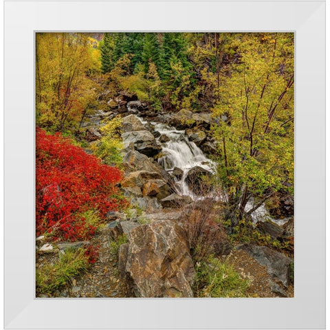 Fall River White Modern Wood Framed Art Print by Sherrell, Bill