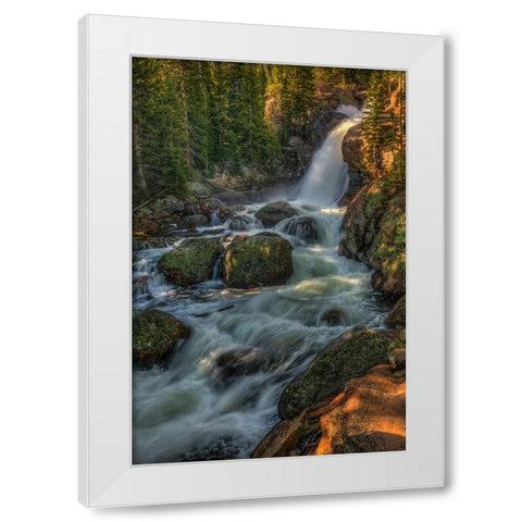 Falling For You White Modern Wood Framed Art Print by Sherrell, Bill