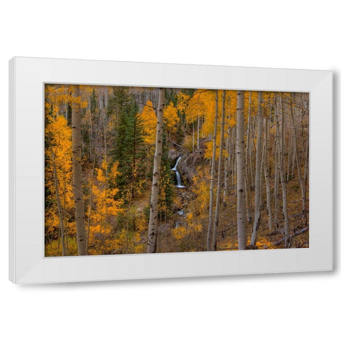Falling Treasure White Modern Wood Framed Art Print by Sherrell, Bill