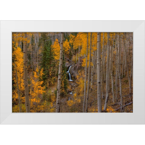 Falling Treasure White Modern Wood Framed Art Print by Sherrell, Bill