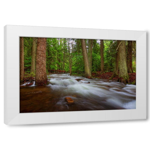 Flow White Modern Wood Framed Art Print by Sherrell, Bill