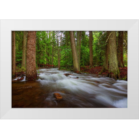 Flow White Modern Wood Framed Art Print by Sherrell, Bill