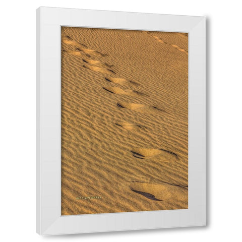 Footprints In The Sand White Modern Wood Framed Art Print by Sherrell, Bill
