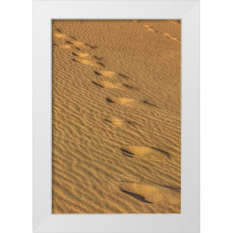 Footprints In The Sand White Modern Wood Framed Art Print by Sherrell, Bill